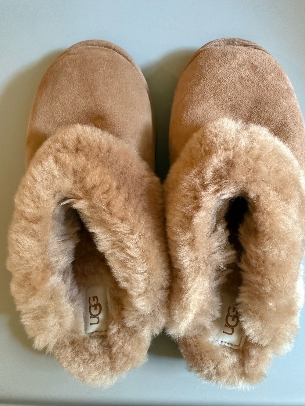 UGG classic Women’s Chestnut Suede Sheepskin Slippers - Tan Fur Trim
